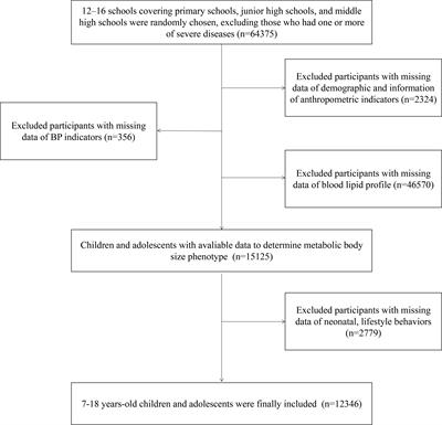 Prevalence and associated factors of metabolic body size phenotype in children and adolescents: A national cross-sectional analysis in China